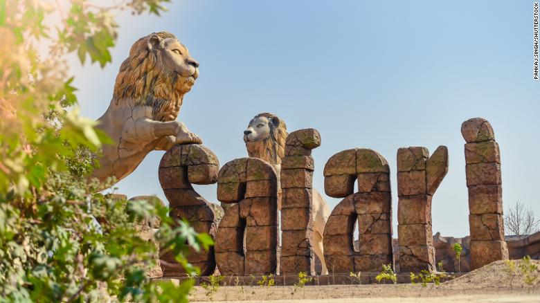 Dy luanë rezultojnë pozitivë për COVID-19 në një park zoologjik në Indi