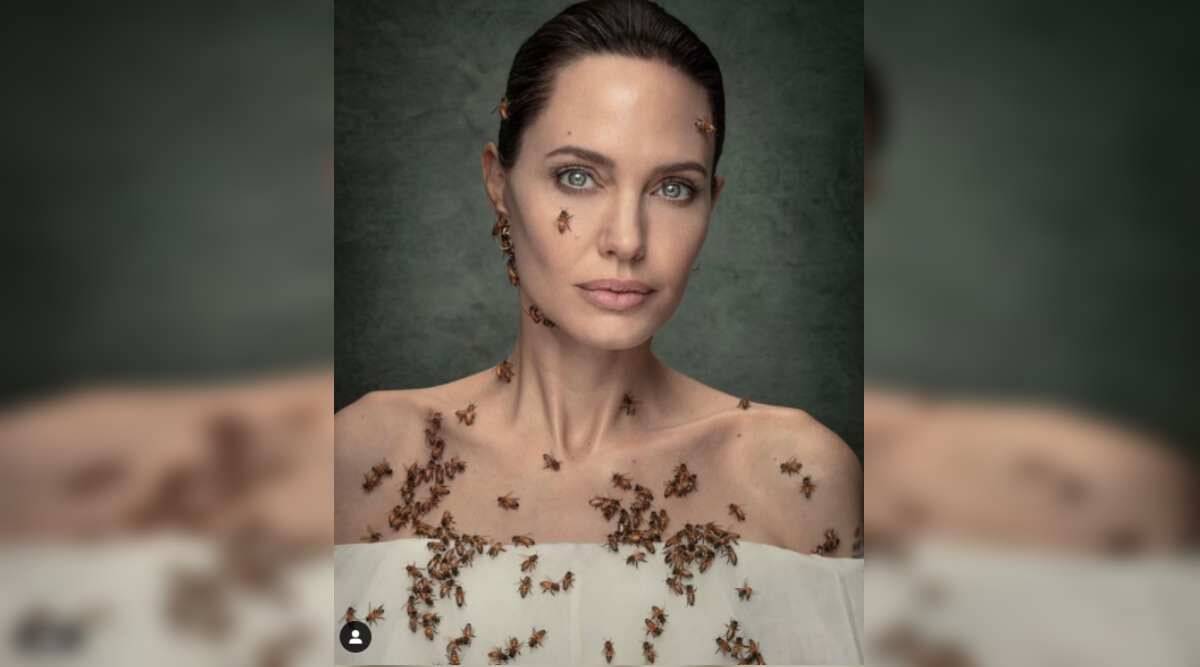 Angelina Jolie pozon me bletë për të rritur ndërgjegjësimin në Ditën Botërore të Bletës