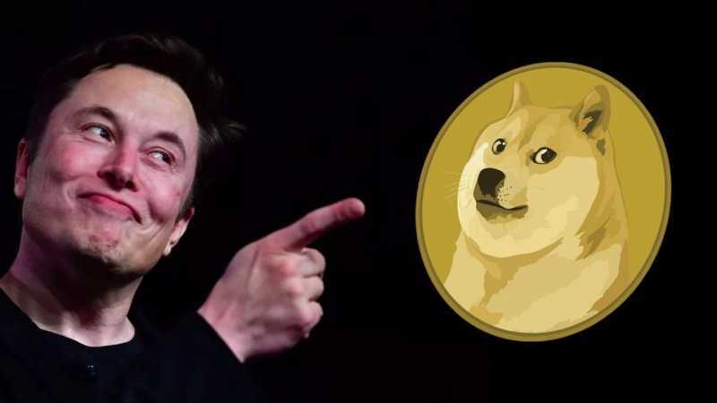 Dogecoin mund të jetë kriptovaluta e së ardhmes, Elon Musk fton që të investohet me kujdes