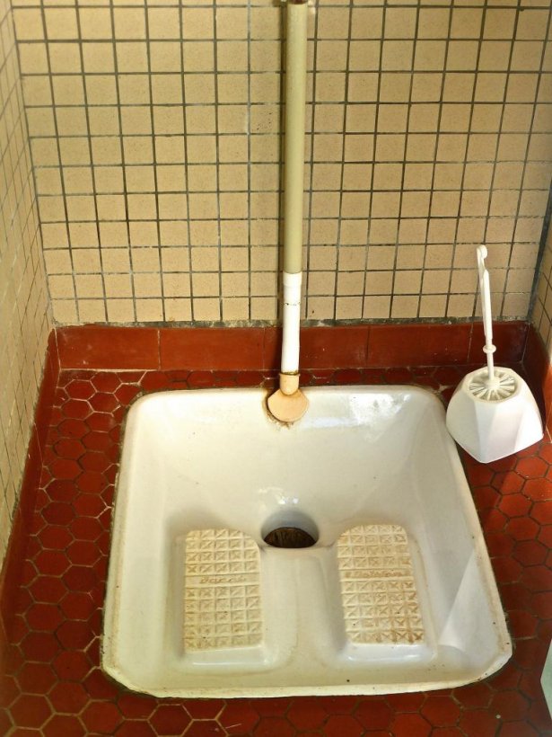 Punëtorët e kafenesë gjejnë një piton të madh në tualet