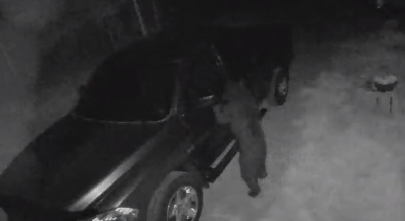 Momenti kur ariu hap derën e veturës dhe hyn brenda (VIDEO)