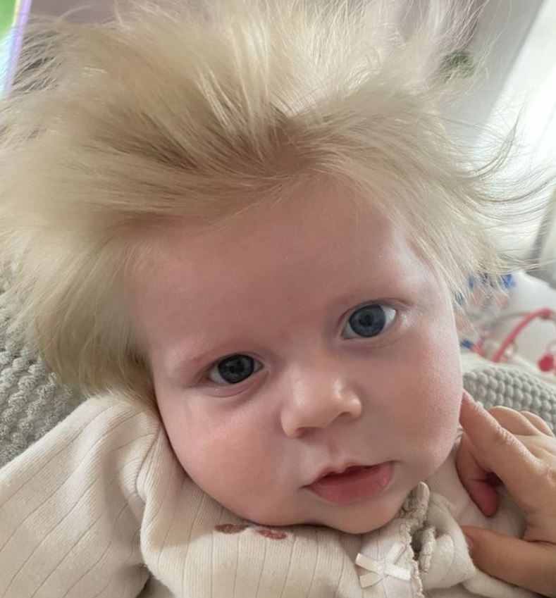 Foshnja që duket si kryeministri britanik, Boris Johnson
