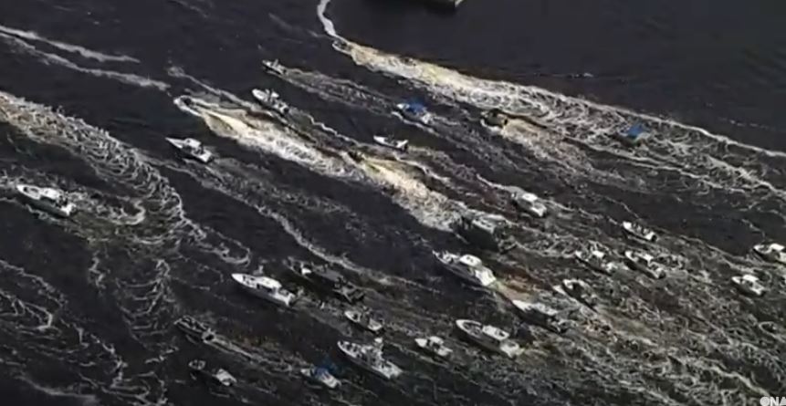 Festë me paradë të varkave në Tampa Bay (VIDEO)