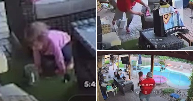 Babai ulërin nga paniku ndërsa vajza e tij 18 muajshe luan me merimangën e madhe (VIDEO)