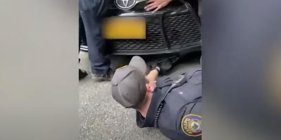 Macja shpëtohet nga policët, ishte futur te motori i një veture (VIDEO)