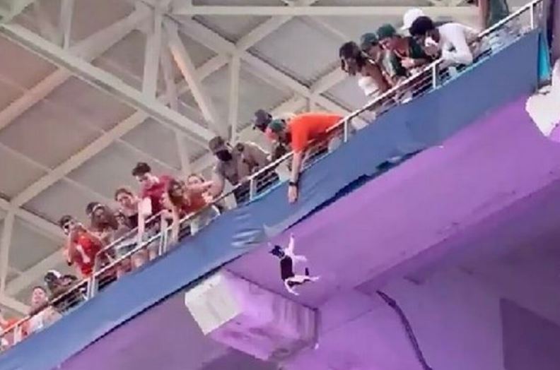 Macja bie nga tribuna e stadiumit, por pritet nga dy tifozë (VIDEO)