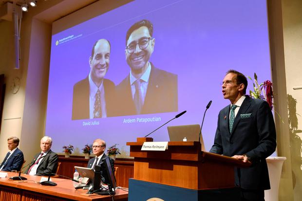 Dy amerikanë rrëmbejnë Nobelin për Mjekësi (VIDEO)