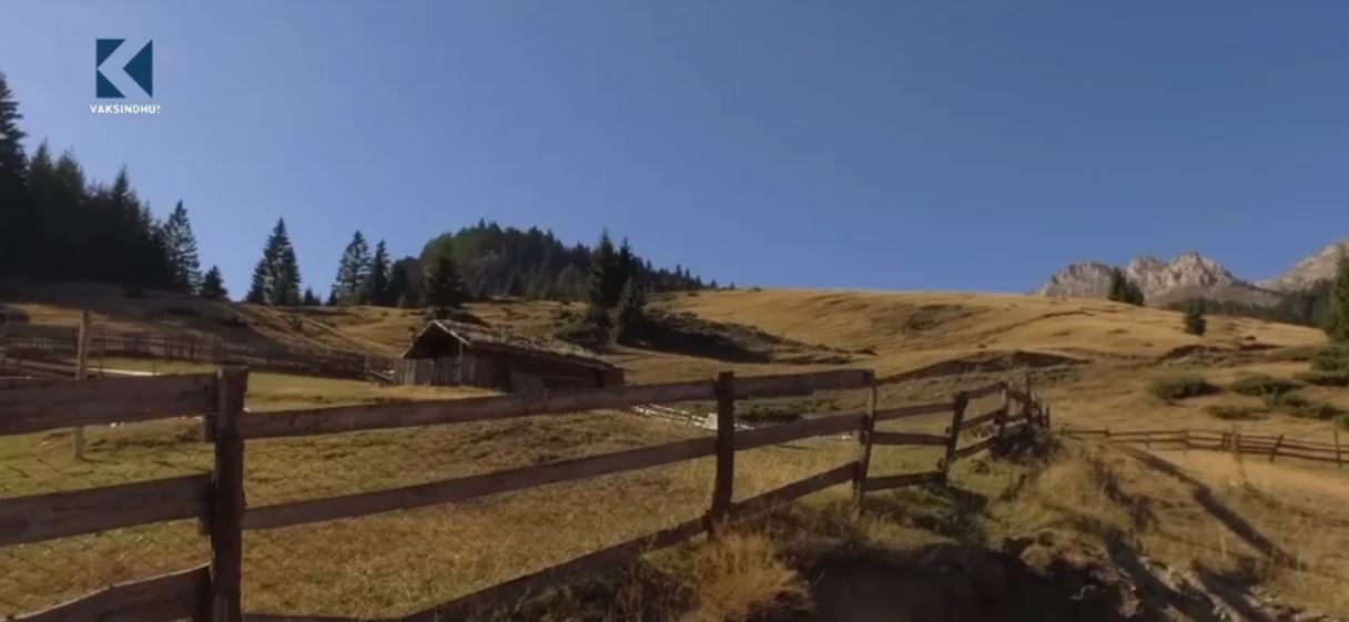 Lugina e Roshkodolit, vendi i kërpudhave ushqyese (VIDEO)