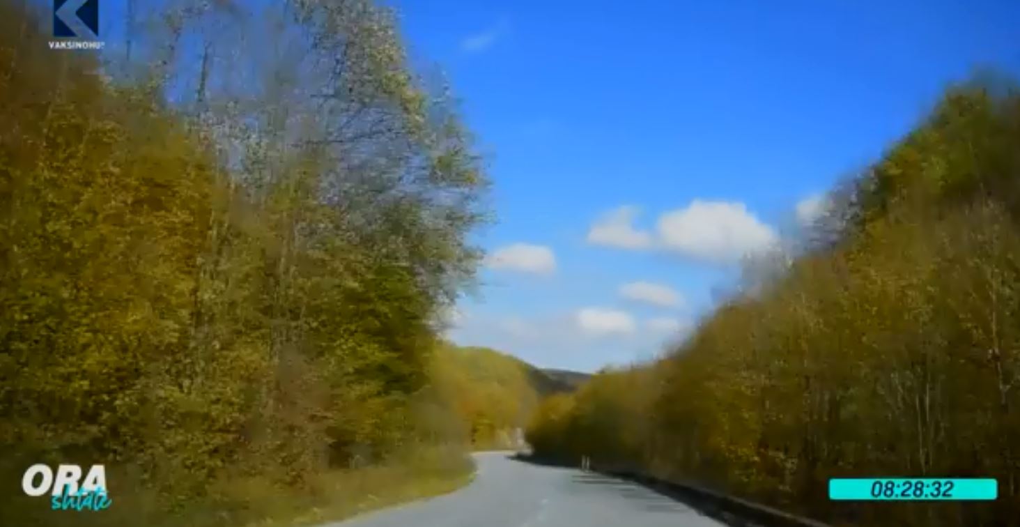 Bujqësia, biznesi që po e rikthen perspektivën në fshat (VIDEO)