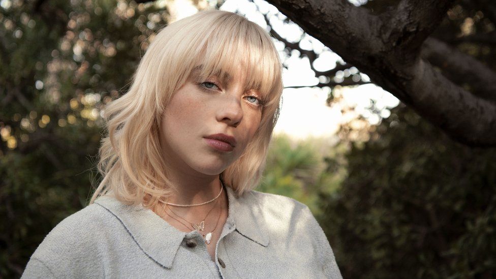 Billie Eilish u kërkoi fansave që ta rishqyrtojnë ngrënien e gjeldetit për Ditën e Falënderimeve