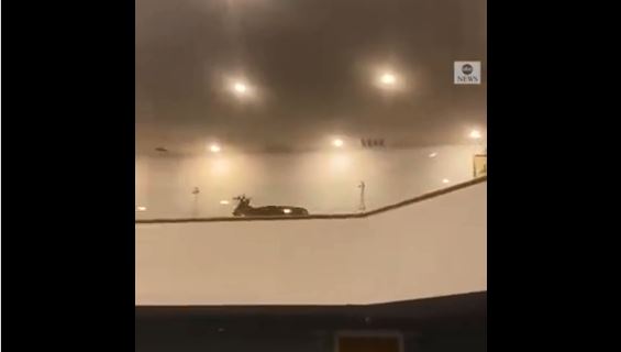 Dreri hyn në një kishë në Michigan (VIDEO)