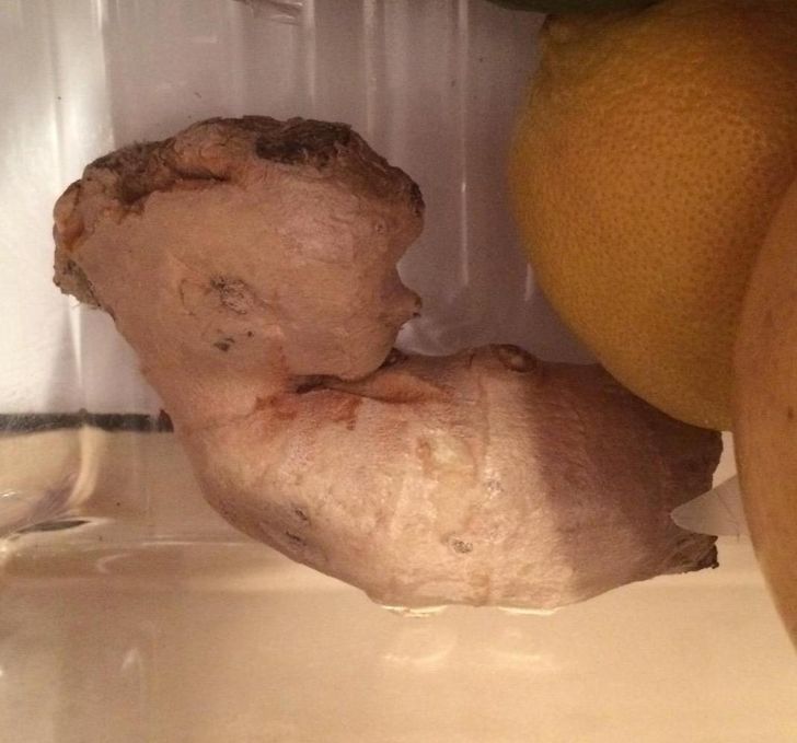 Rastet kur njerëzit panë diçka që ua mashtroi sytë (FOTO)
