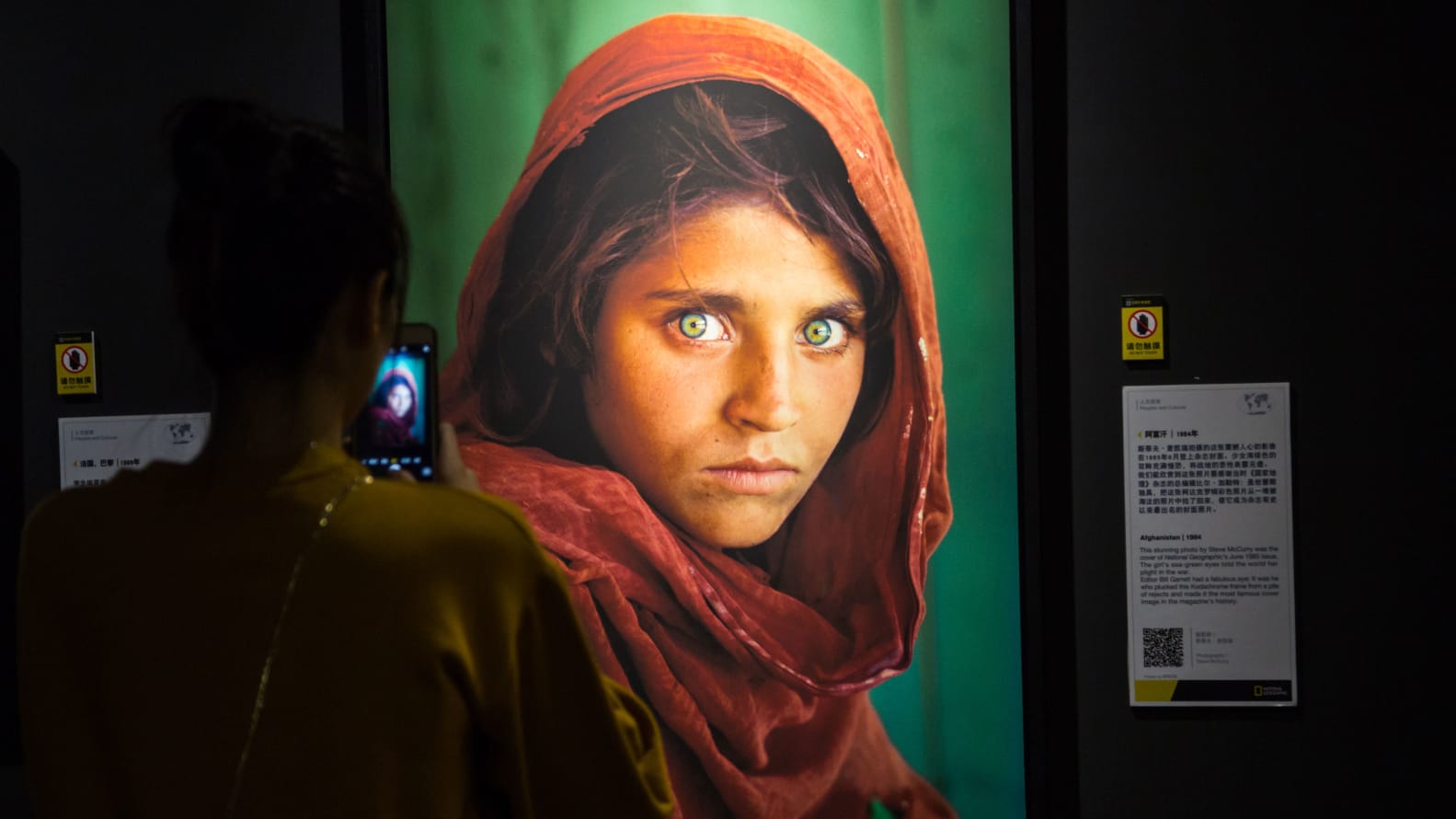'Vajza afgane' nga kopertina e National Geographic fitoi statusin e refugjatit në Itali