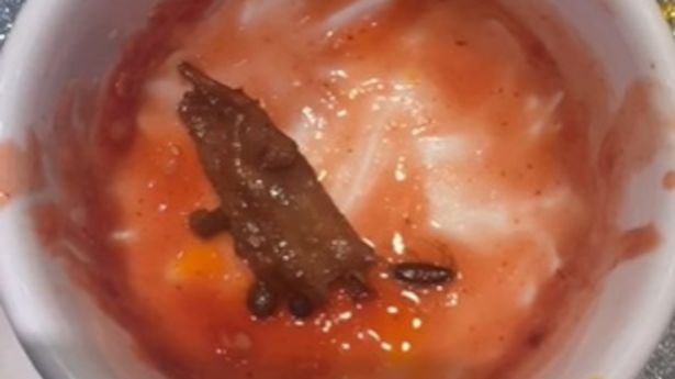 Gjeti një kacabu në ushqimin e restorantit (FOTO)