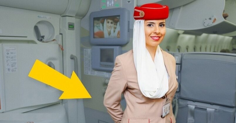 A e dini pse stjuardesat i mbajnë duart pas shpinës kur pasagjerët futen në aeroplan?