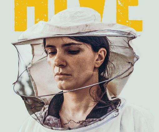 "Zgjoi" hyn në listën e ngushtë të nominimeve për Oscars