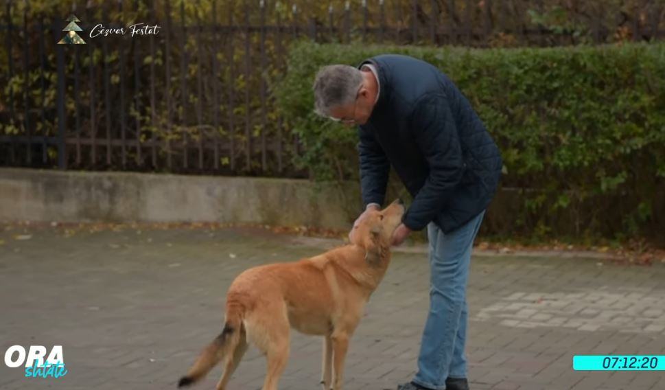 Luna, qenushja e cila rikthehet çdo dimër tek njeriu që e shpëtoi (VIDEO)