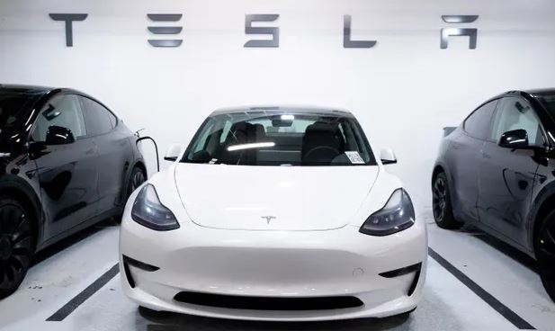 Gruaja lind foshnjën e saj në makinë ndërsa e aktivizoi autopilotin e Tesla-s