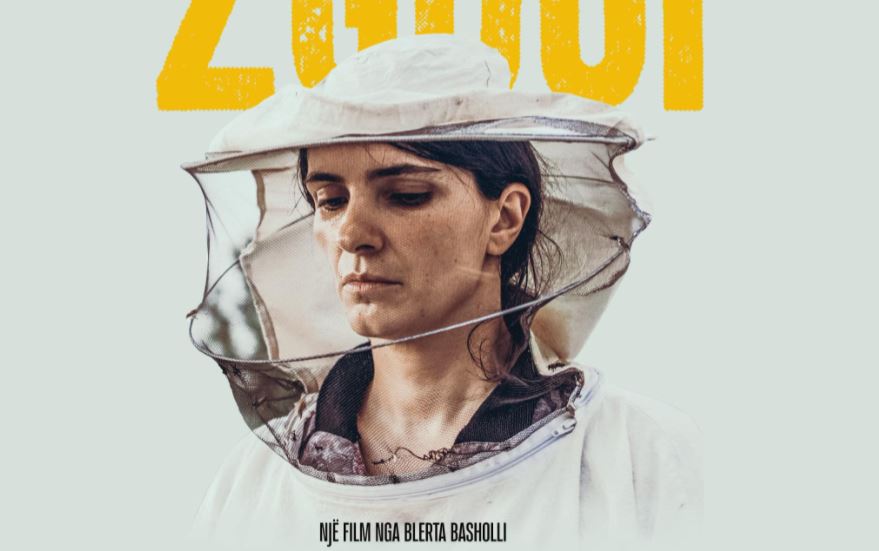 Qeveria ndan mbi 95 mijë euro për filmin "Zgjoi"