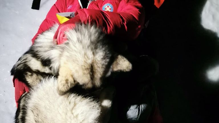 E mbajti ngrohtë për 13 orë, qeni ia shpëton jetën alpinistit