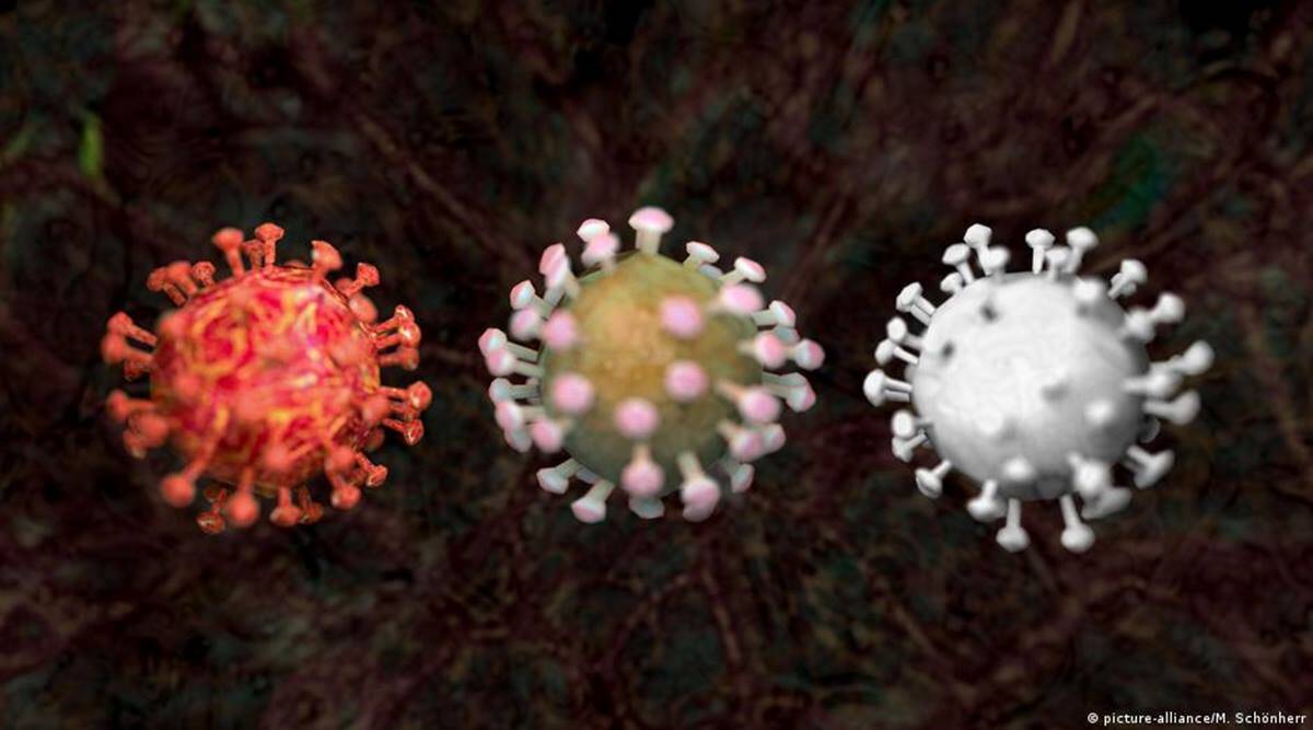 Cili është dallimi në mes të endemisë, epidemisë dhe pandemisë?
