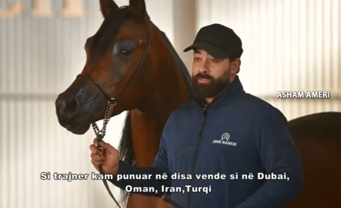 Asham Ameri, iraniani që erdhi në Kosovë për trajnim të kuajve (VIDEO)