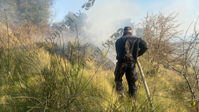 Vlora 'zgjohet' me zjarre, digjen ullishtet në Radhimë