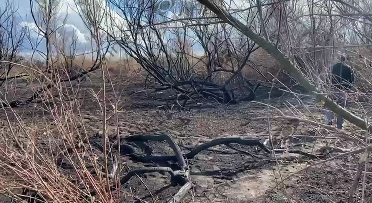Gjenden mbetje kockore dhe kafka e një njeriu në afërsi të Fushë Kuqes