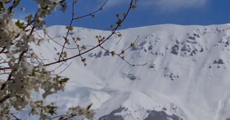 Malet e Dibrës zbardhen nga bora (VIDEO)