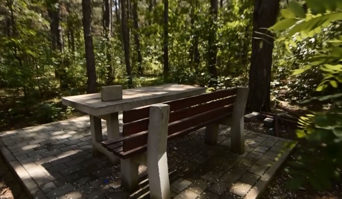 Shkatërrimi i oazës “Pishat e Sllatinës” (VIDEO)