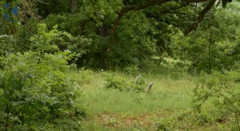 Aqarevë, varreza që nga koha e mesjetës (VIDEO)