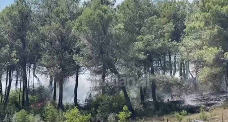 Riaktivizohet vatra e zjarrit në Kthesën e Balldrenit në Lezhë