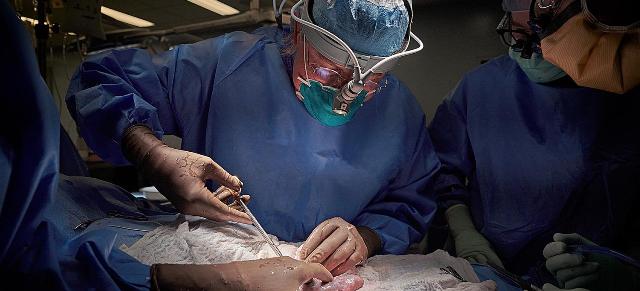 ShBA: Transplantohet me sukses zemra e derrit tek dy pacientë
