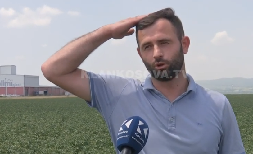 Zhgënjehet fermeri nga Obiliqi: N'Xhamajka, n'Xhamajka - ka t'mundesh veç me ik prej këtij vendi (VIDEO)