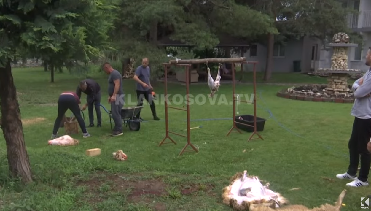 Deçanasit e vazhdojnë traditën, therin kurbanët nëpër oborre (VIDEO)     