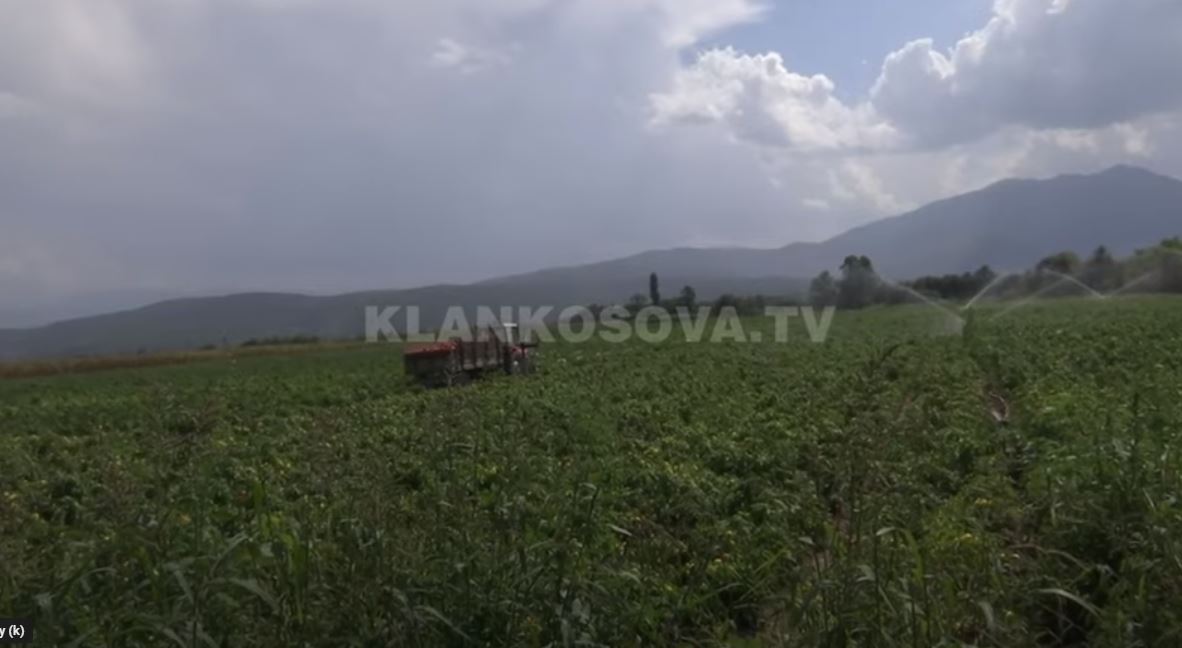 Procesohen 24,5 milionë subvencione për fermerët (VIDEO)
