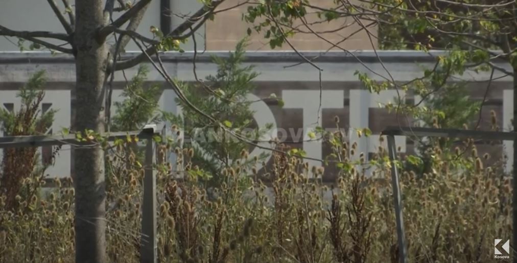 Shqiptarja dhe italiania ofronin seks për 300 € (VIDEO)