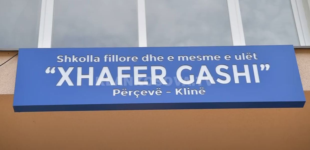 Mërgimtari ua ofron nga 100 euro mësimdhënësve (VIDEO)