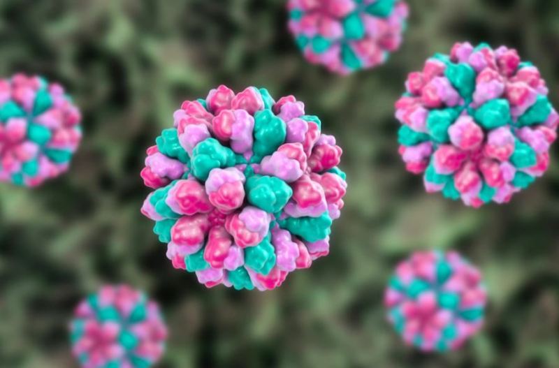 Paralajmërohet se do të ketë rritje të rasteve me norovirus