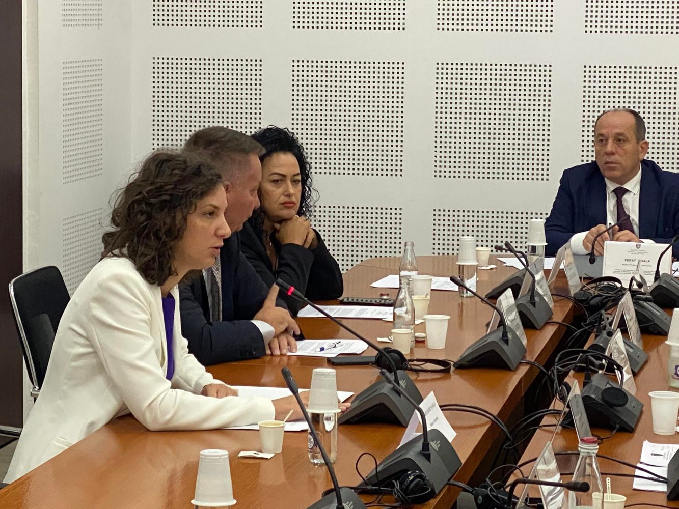 Rizvanolli raporton në Komisionin për Ekonomi