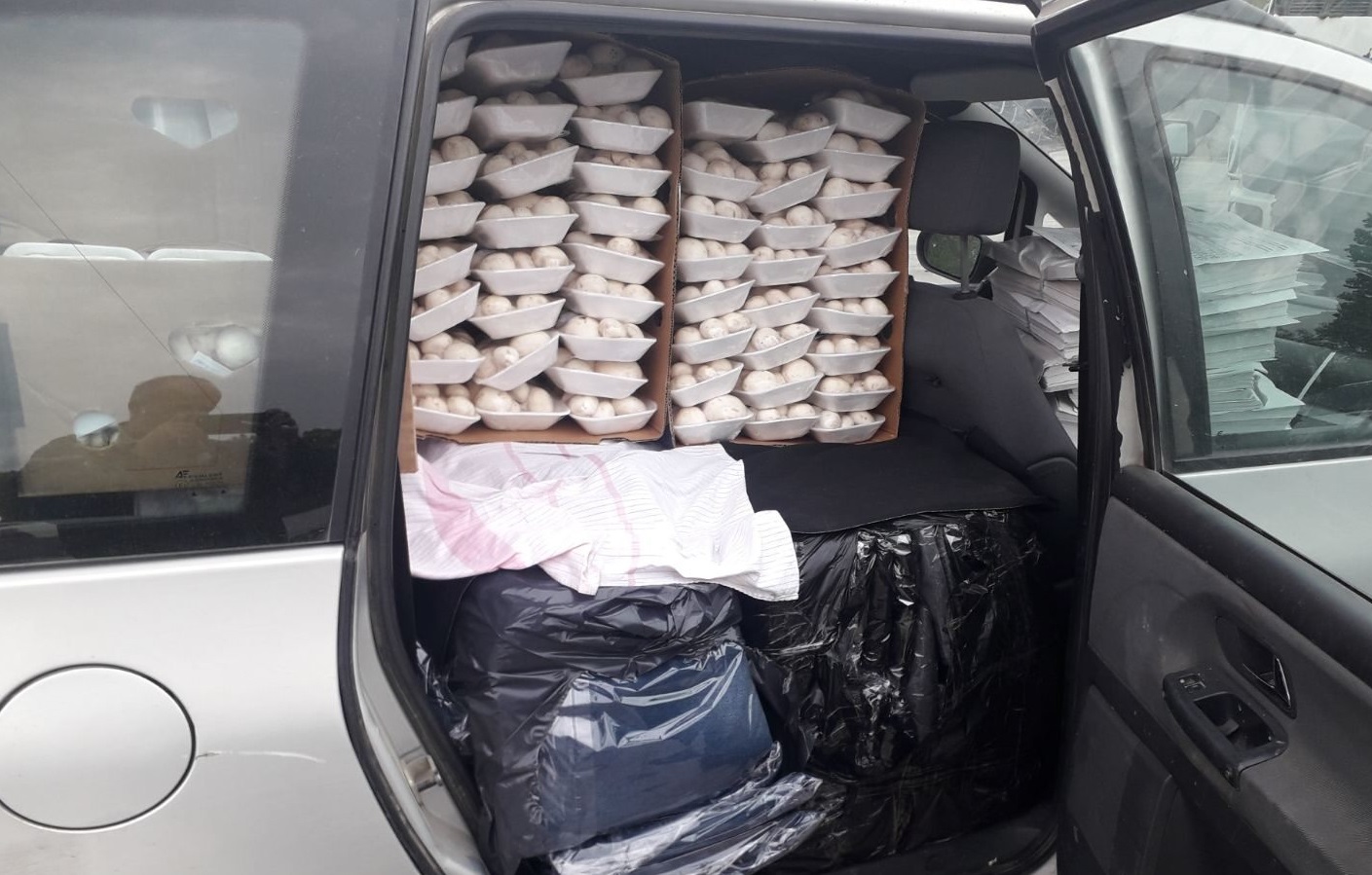 Kontrabandonin xhinse, kërpudha, gazeta serbe dhe të tjera - arrestohen dy shtetas serbë (FOTO)