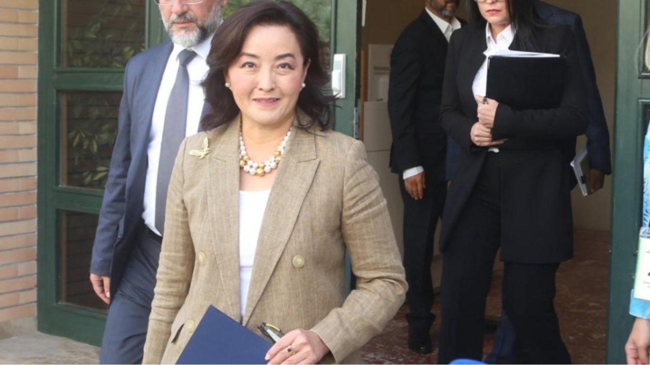 Sulmet kibernetike në Shqipëri, Kim takohet me Peleshin