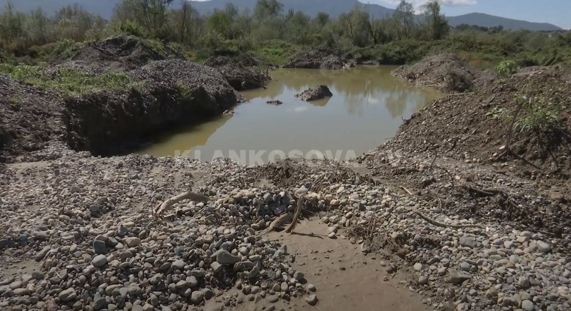 Vërshimet e fryra, fajin për ujëra e kanë zallxhinjtë (VIDEO)
