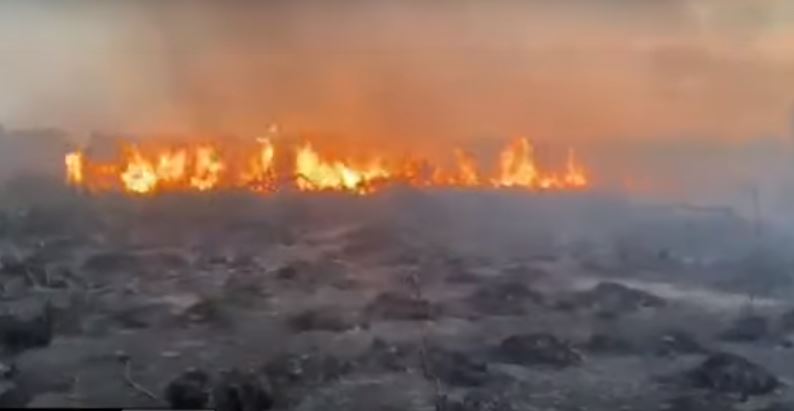 Zjarri del jashtë kontrolli në disa zona të Vlorës