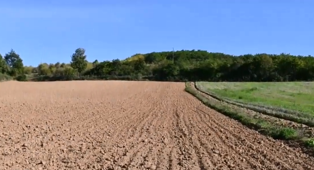Komuna e Prishtinës ua paguan bujqve 80 përqind e tutje të shpenzimeve për mbjelljen e grurit (VIDEO)