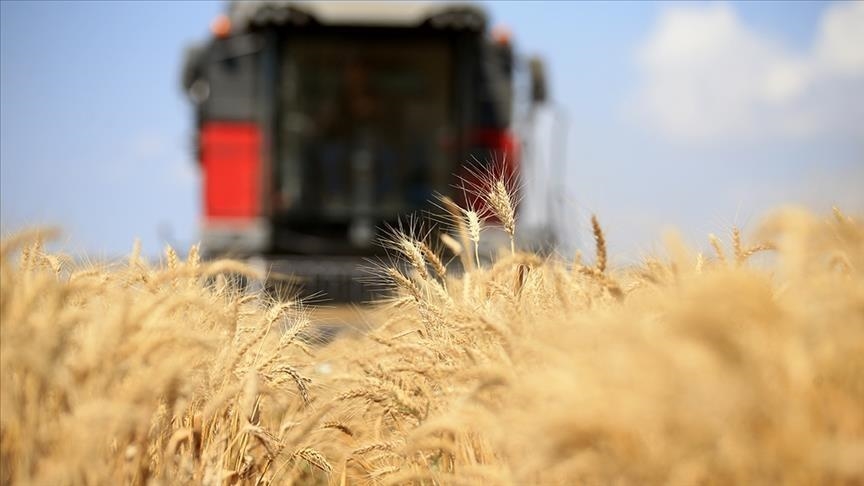 OKB-ja kërkon që marrëveshja e grurit të Ukrainës të zgjatet për një vit