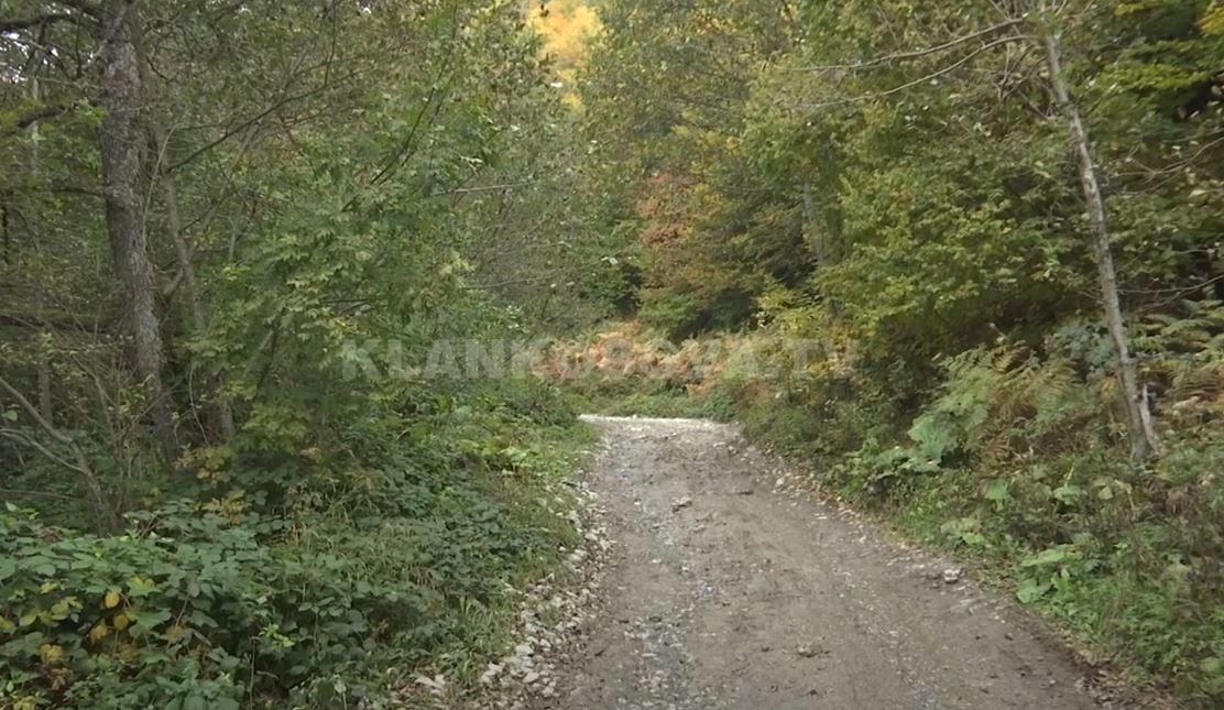 Traktori mbyt 30-vjeçarin që shkoi të marrë dru për familjen në bjeshkët e Junikut (VIDEO)