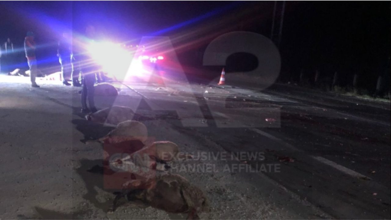 Shqipëri: Makina përplas tufën e deleve (FOTO)