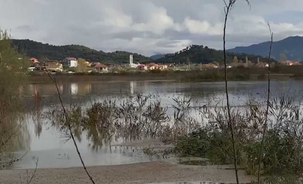 Përmbytjet në Shkodër, përmirësohet situata e reshjeve, 1435 ha tokë ende nën ujë