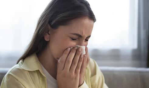 Pijet bimore që lehtësojnë alergjinë ndaj pluhurit